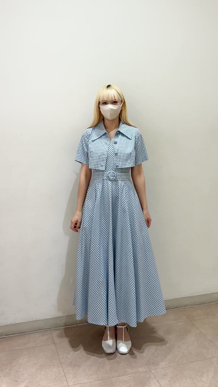 《隣人から芝刈り機を借りた》ギンガムチェックベルト付きフレアワンピース-Blue